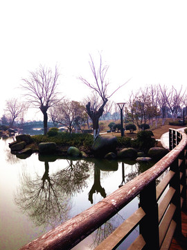 蕭瑟的冬日公園