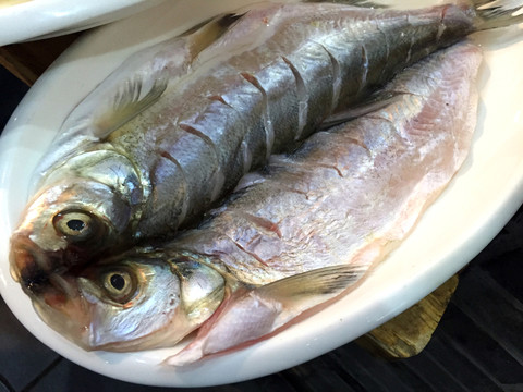 白魚(yú)