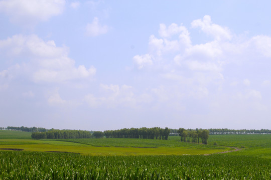 田園風(fēng)光