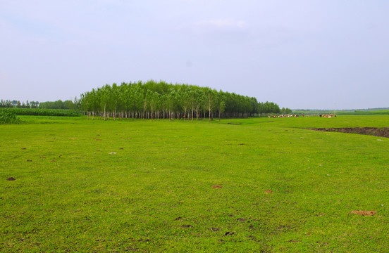 田園風光
