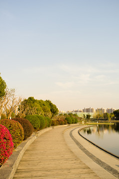 城市公園