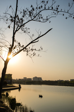 夕陽下的公園