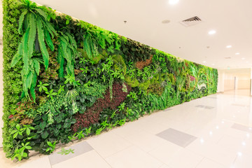 室內植物墻