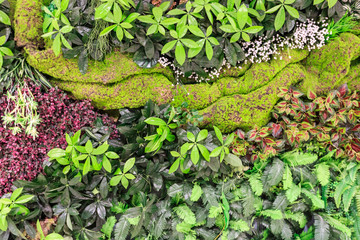 植被墻
