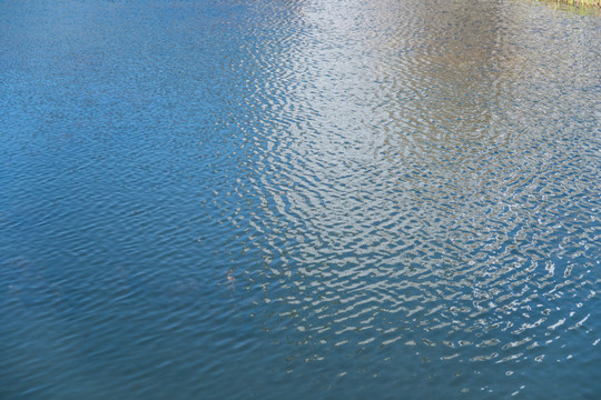 水池