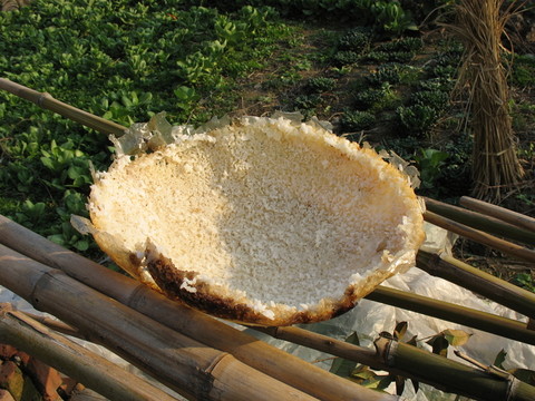 鍋巴