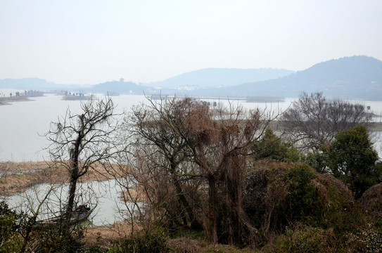 荒島