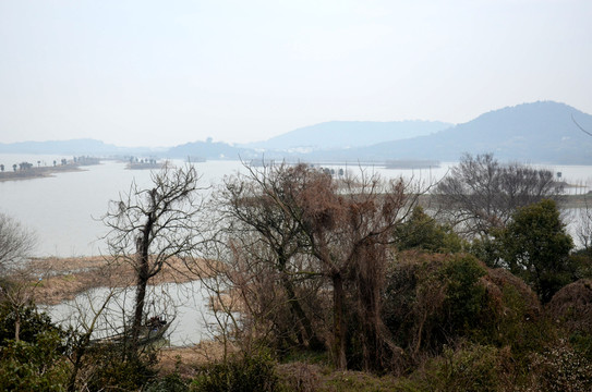 荒島