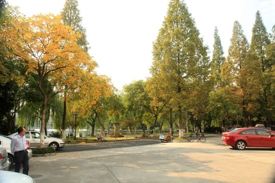 公園風(fēng)景  園林