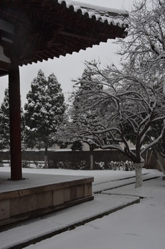 青龍寺