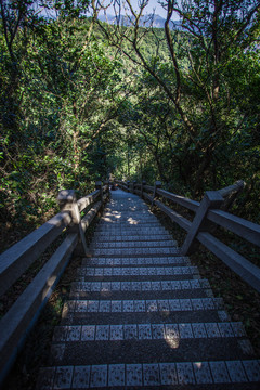 白云山 階梯