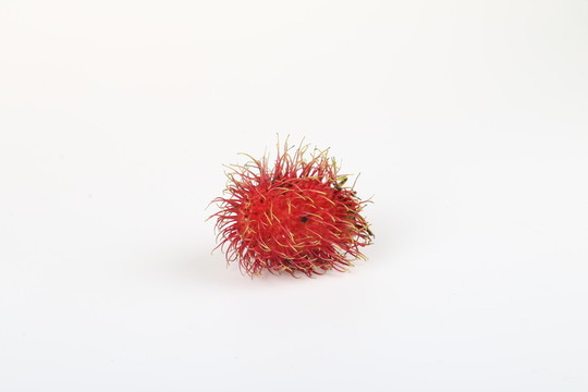 紅毛丹