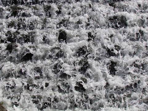 水花
