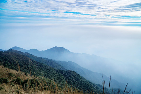 山