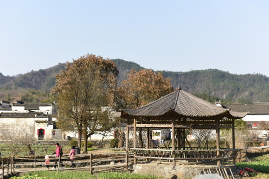 西遞