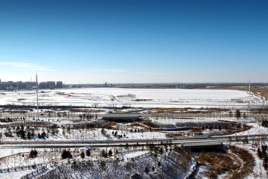 大慶 奧林匹克公園 奧林匹克中