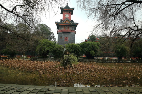 四川大學(xué)
