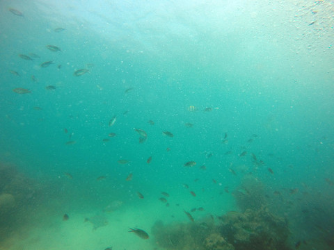 海底風光