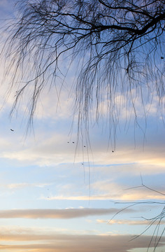 天空