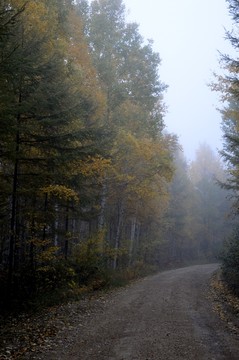 清晨山路