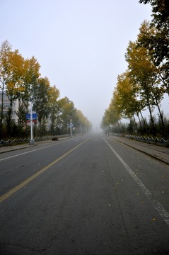 清晨的街道