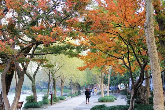 杭州西湖小道