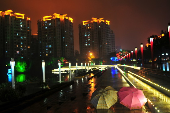 城市夜色 燈火輝煌 雨后