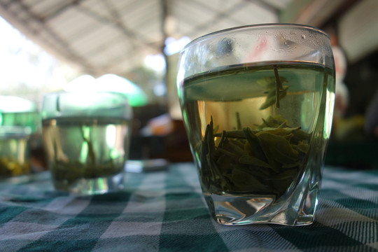 一杯綠茶 新茶