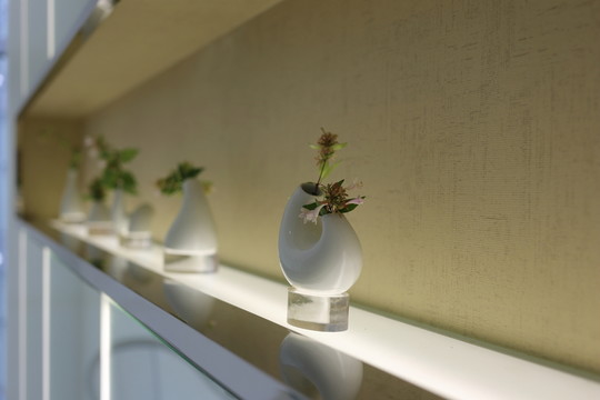 藝術(shù)盆栽