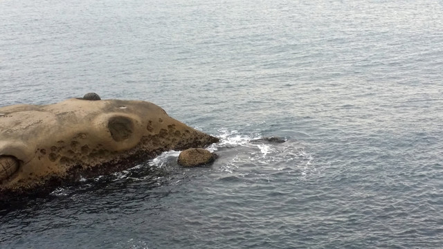 海岸  礁石