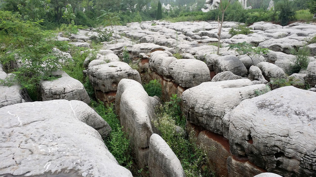石林  石頭