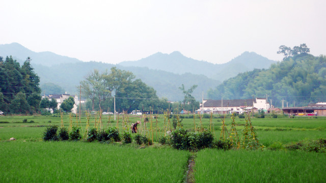 婺源李坑村