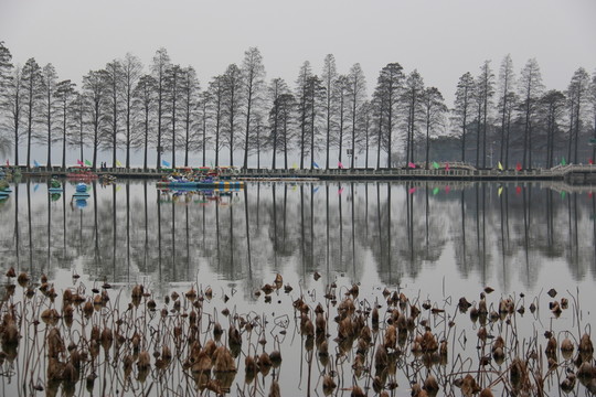 梨園風(fēng)景
