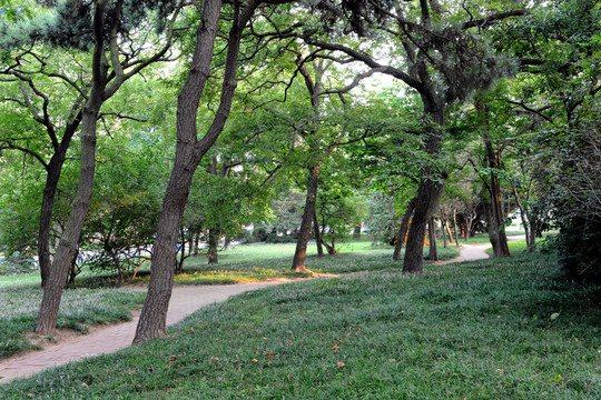青島八大關(guān)公園