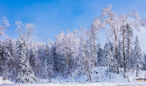 雪鄉(xiāng)霧凇