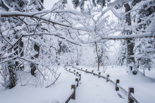 雪鄉(xiāng)