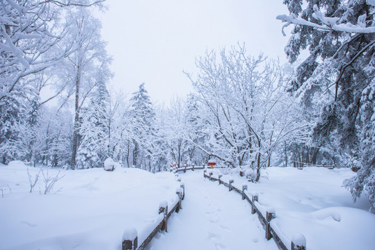 雪鄉(xiāng)霧凇