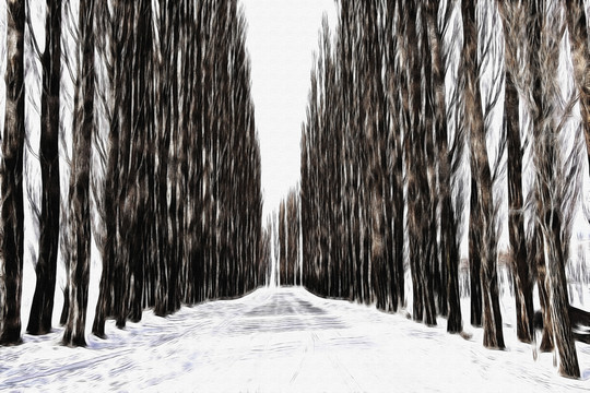 小路