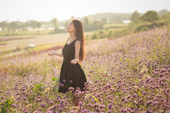 花海里的女孩