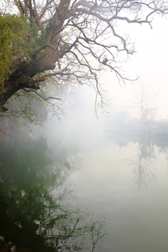 小河