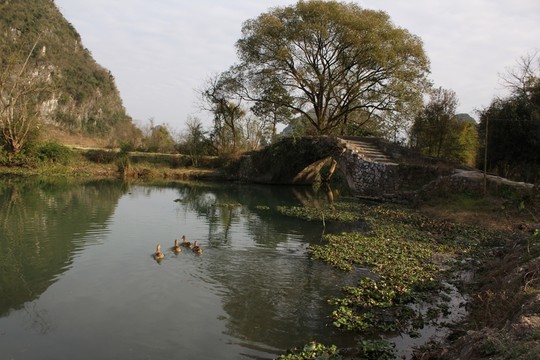 田園風(fēng)光