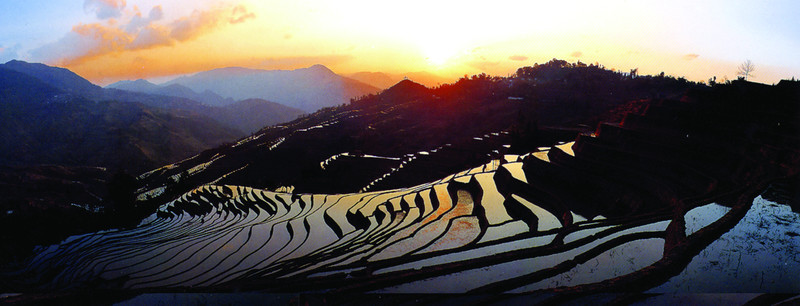 梯田 水田 山村梯田