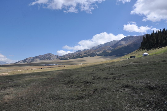 山腳下的大草原牧場