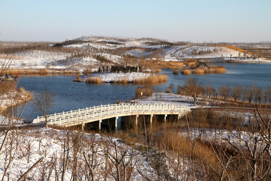 濕地雪景