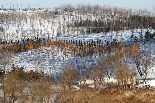 小山雪景