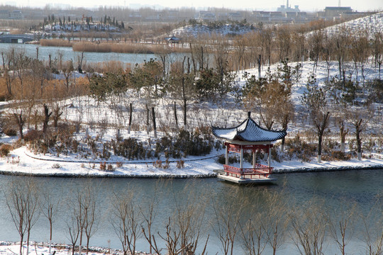 濕地雪景