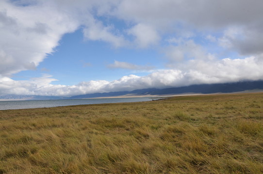 賽里木湖草原濕地