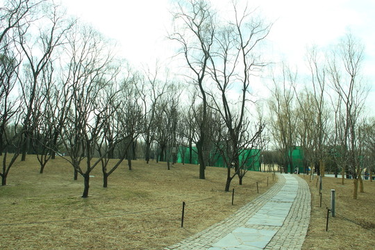 公園小路