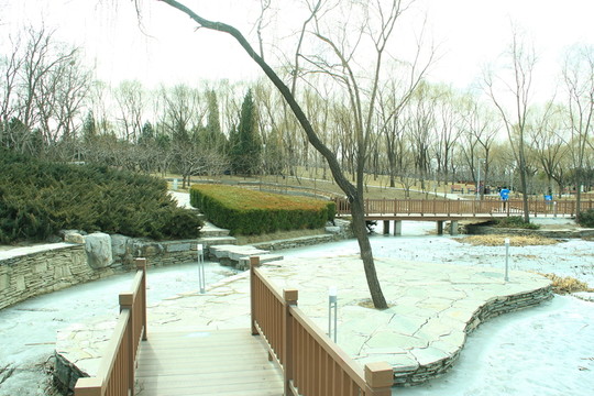 冬季海淀公園