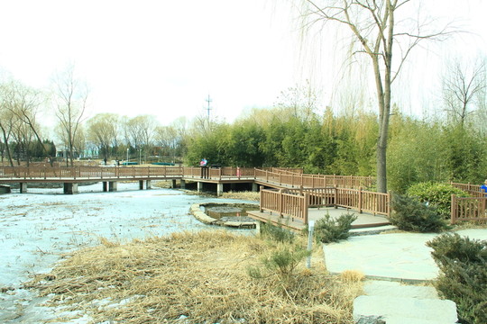 冬季稻香湖